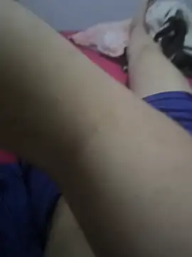 novinhotaradoJoJos online show from July 2026 08:43:02 AM