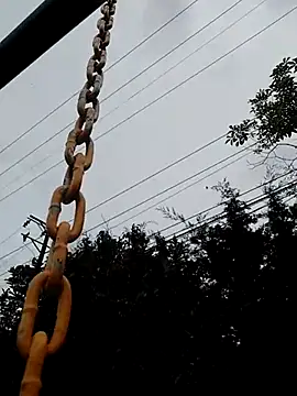 saray outdoorss online show from May 2026 03:33:02 PM