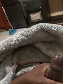 BIG DICK BOOGIE online show from June 2026 11:02:01 PM