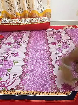 bristyislam online show from June 2026 05:37:02 PM