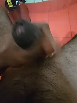 squirrella online show from June 2026 01:54:02 PM