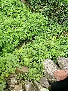 Nana-AsianWet online show from July 2026 07:04:01 AM