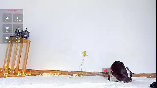 Snapshot of abilX chatting on January 2025 01:57:02 PM abilX online show from January 2025 01:57:02 PM