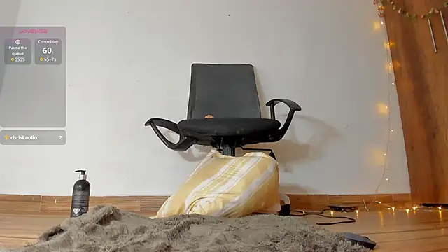 Snapshot of abilX chatting on February 2025 11:45:01 PM abilX online show from February 2025 11:45:01 PM