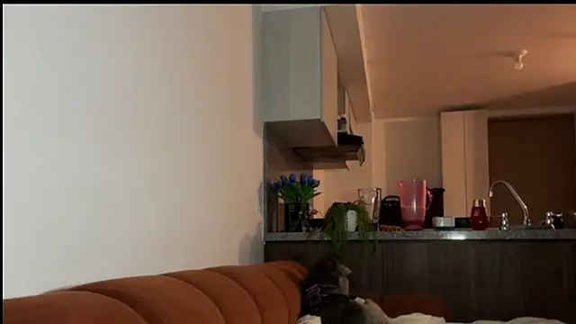 niah 11 online show from May 2026 11:33:02 PM