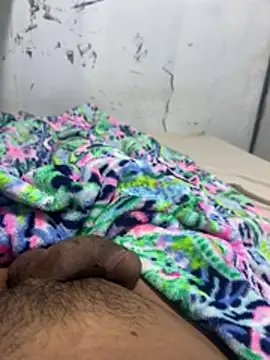 bobinit online show from July 2026 07:56:01 PM