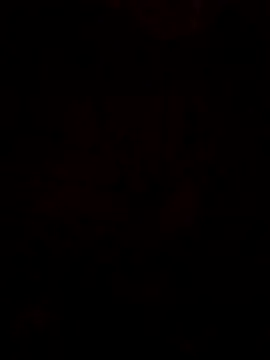 LonesomeMegawatt online show from May 2026 12:58:01 PM
