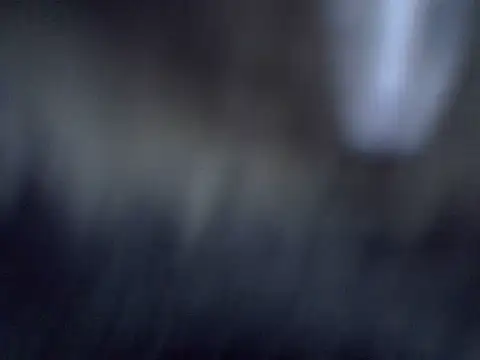 cutiebreey online show from June 2026 12:52:02 AM