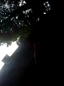 SpiceDiana1 online show from July 2026 08:16:01 AM