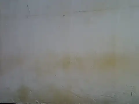 sweet ass90 online show from May 2026 08:29:01 AM