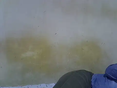 pretty sunshine online show from July 2026 04:34:01 PM