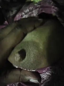 desi hot couples online show from May 2026 06:09:01 PM