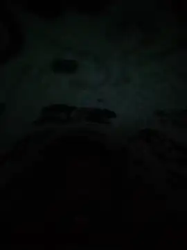 sodahotsexy4 online show from July 2026 12:36:02 AM