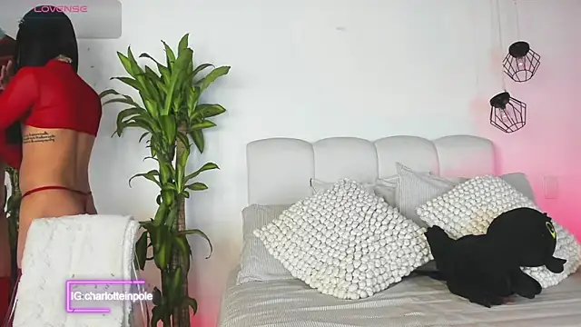 charlotteinpool online show from June 2026 05:49:02 AM