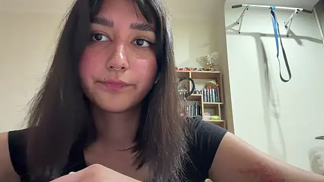 PaintedDisplay online show from June 2026 08:15:02 AM
