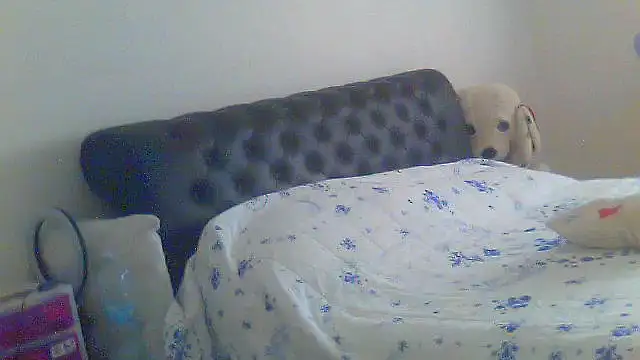 Alaska-perla online show from June 2026 09:14:01 AM