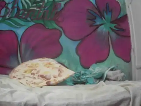 Ryan chocolate horny online show from July 2026 12:58:01 AM