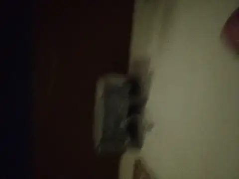 ogogooo online show from July 2026 02:53:01 AM