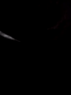 whitecock8-8 online show from July 2026 11:54:02 PM