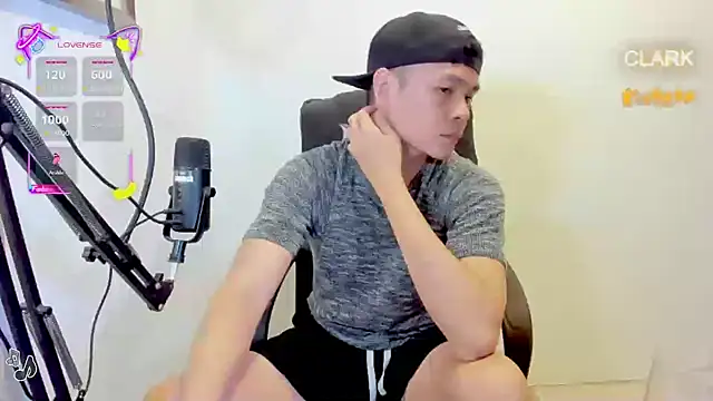 Snapshot of clarkdangerous chatting on June 2026 12:36:01 AM clarkdangerous online show from June 2026 12:36:01 AM