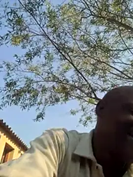 Rod Gorilla online show from July 2026 12:31:02 PM
