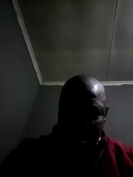 Rod Gorilla online show from July 2026 06:23:02 PM