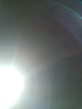 Rod Gorilla online show from July 2026 11:56:02 AM