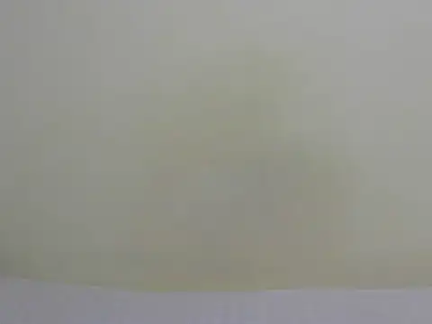 Arriana  online show from June 2026 09:37:01 AM