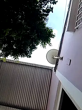 bradboy Pigpisscum online show from July 2026 01:42:02 PM