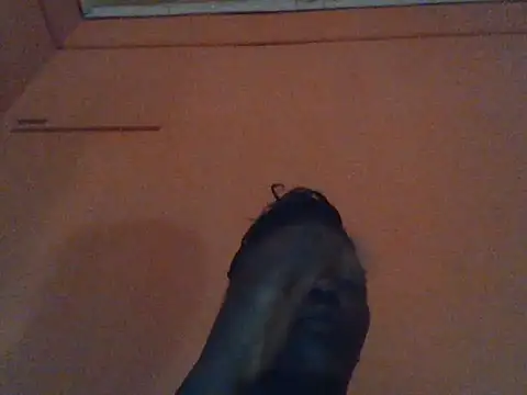 Natasha beb online show from June 2026 12:44:01 PM