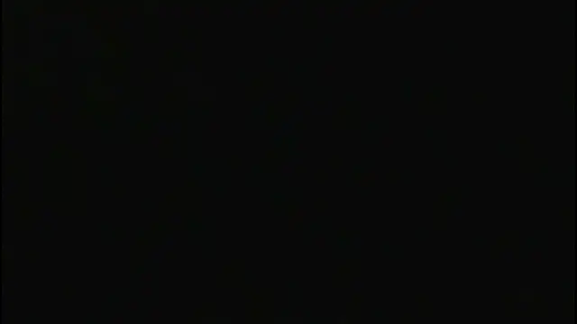 wendybilha online show from July 2026 12:58:02 PM