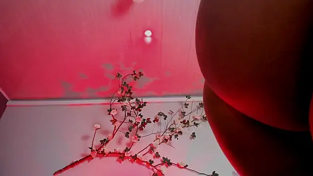 Britney turner   online show from July 2026 12:47:02 PM