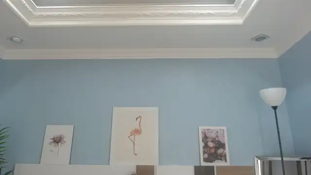 Snapshot of salome_veles chatting on July 2026 05:11:01 PM salome veles online show from July 2026 05:11:01 PM