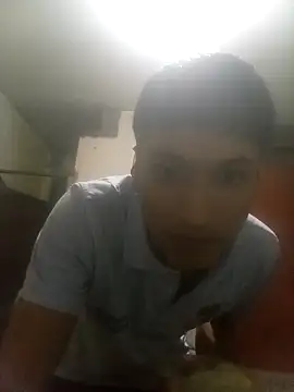 bxbicho20 online show from June 2026 02:27:02 AM