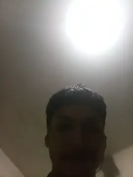 bxbicho20 online show from July 2026 05:03:01 AM