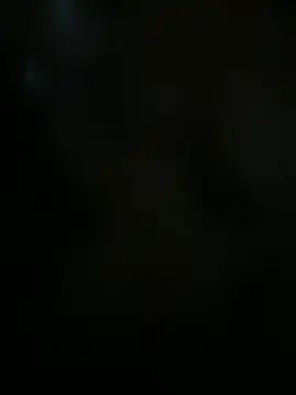 argentvifal online show from June 2026 11:06:01 PM