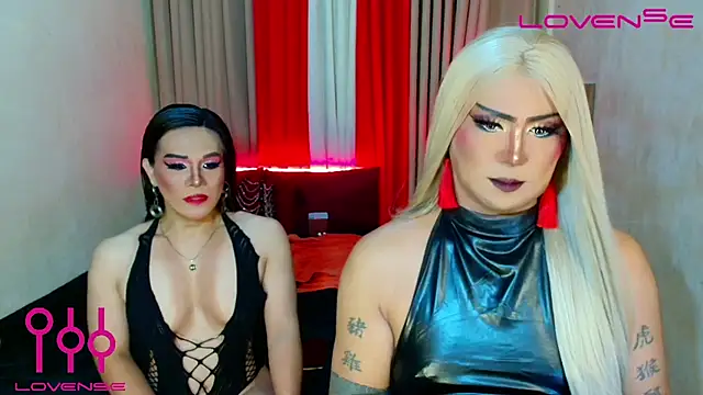 Playful Top Shemale online show from July 2026 01:08:01 AM