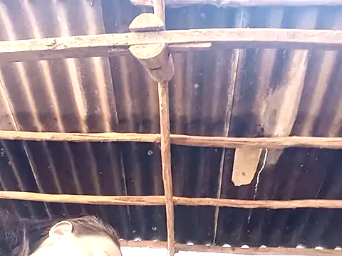 Helly-i online show from July 2026 08:49:02 AM