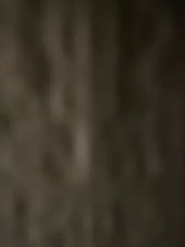 qazpqp online show from July 2026 01:53:02 PM