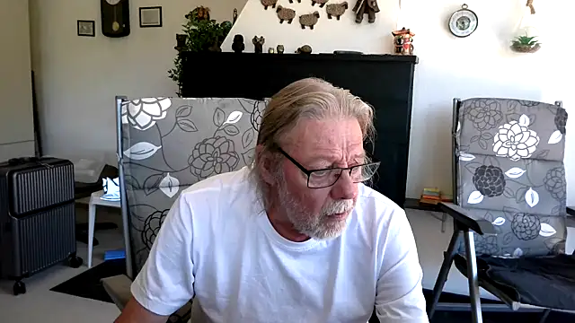 wiewerner 2 online show from July 2026 09:40:01 AM