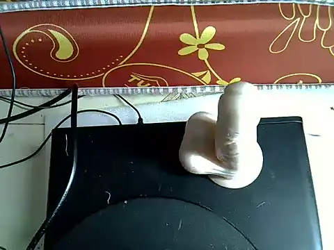 Slim camilla online show from July 2026 12:30:02 AM