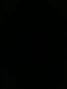 siegwalds online show from July 2026 06:57:01 PM