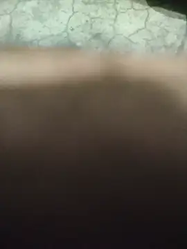 Hot rajveersX live online show from August 2026 10:28:02 AM