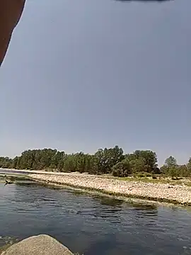 Lovetrans98 online show from July 2026 11:12:02 AM