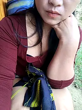 Stella 6996 online show from July 2026 03:15:01 AM