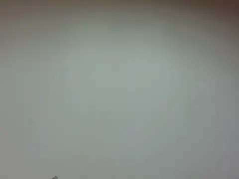 LiaBellini online show from July 2026 06:53:02 AM