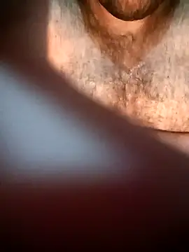 big  bearrr online show from July 2026 11:46:02 PM
