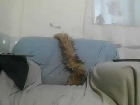 masterkiing online show from July 2026 03:21:02 PM