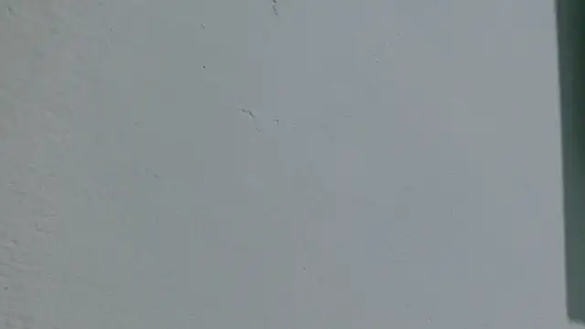 rabbitplayboy19 online show from July 2026 06:44:02 AM
