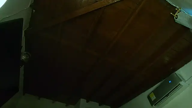 Snapshot of IvyValentine chatting on March 2025 09:54:02 PM IvyValentine online show from March 2025 09:54:02 PM